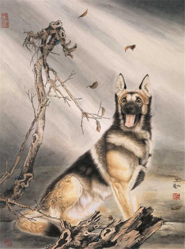 图片20.png
