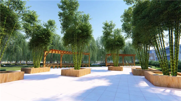 图片44.png 图片44.png